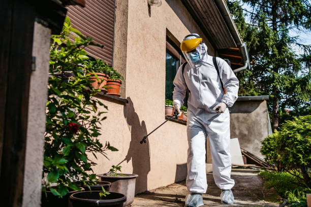 Best Insect Control  in Noble, OK
