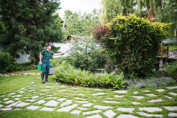 Best Ant Control Services  in Noble, OK